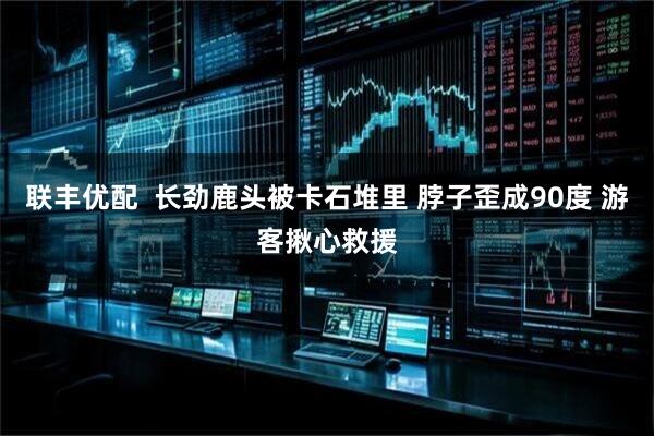 联丰优配  长劲鹿头被卡石堆里 脖子歪成90度 游客揪心救援