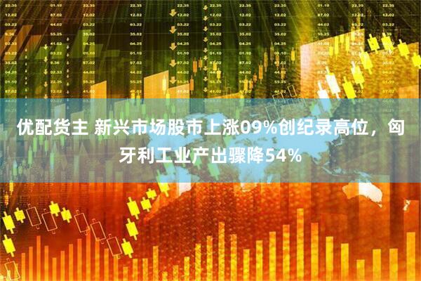 优配货主 新兴市场股市上涨09%创纪录高位,匈牙利工业产出骤降54%